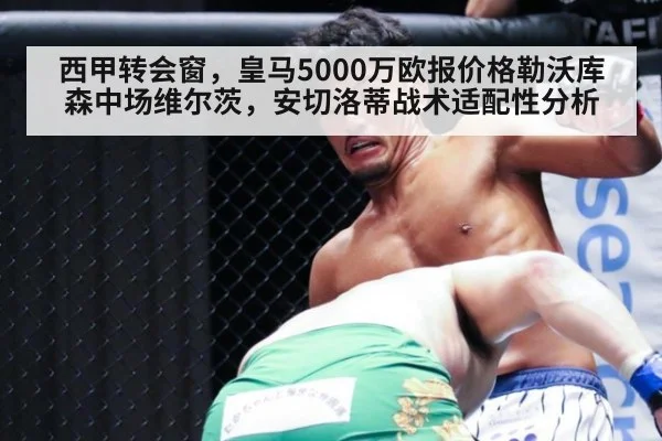 西甲转会窗，皇马5000万欧报价格勒沃库森中场维尔茨，安切洛蒂战术适配性分析